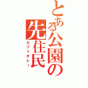 とある公園の先住民（カフェオレー）