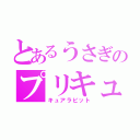 とあるうさぎのプリキュア（キュアラビット）