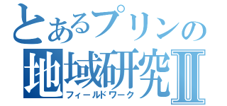 とあるプリンの地域研究Ⅱ（フィ－ルドワ－ク）