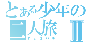 とある少年の二人旅Ⅱ（テガミバチ）