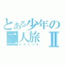 とある少年の二人旅Ⅱ（テガミバチ）