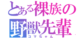 とある裸族の野獣先輩（コマちゃん）