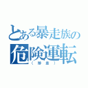 とある暴走族の危険運転（（珍走））