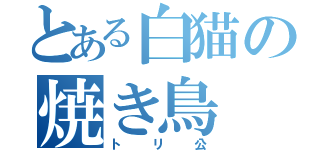 とある白猫の焼き鳥（トリ公）