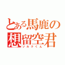 とある馬鹿の想留空君（ソルクくん）