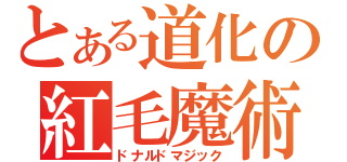 とある道化の紅毛魔術（ドナルドマジック）