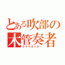 とある吹部の木管奏者（クラリネッター）