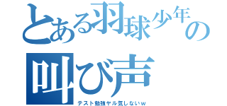 とある羽球少年の叫び声（テスト勉強ヤル気しないｗ）