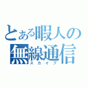 とある暇人の無線通信（スカイプ）