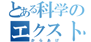 とある科学のエクストリーム（からあげ）