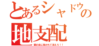 とあるシャドウの地支配（闇の炎に抱かれて消えろ！！）