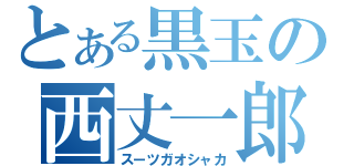 とある黒玉の西丈一郎（スーツガオシャカ）