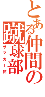 とある仲間の蹴球部（サッカー部）