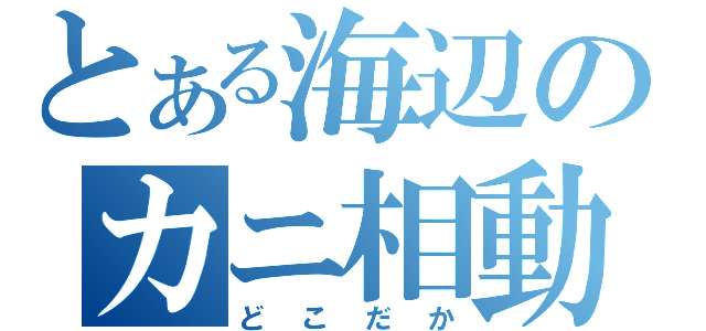 とある海辺のカニ相動（どこだか）