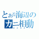 とある海辺のカニ相動（どこだか）