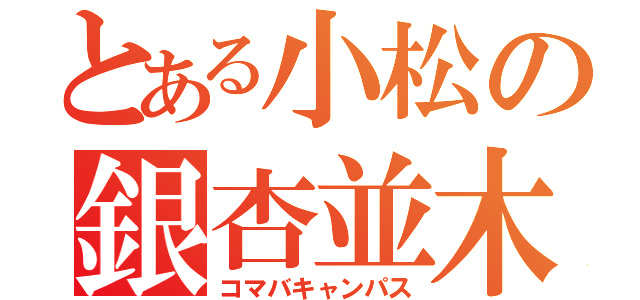 とある小松の銀杏並木（コマバキャンパス）