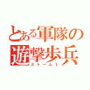 とある軍隊の遊撃歩兵（ストーム１）