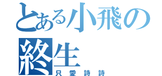 とある小飛の終生（只愛詩詩）