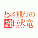 とある飛行の雄巨火竜（リオレウス）