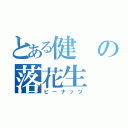 とある健の落花生（ピーナッツ）