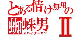 とある情け無用の蜘蛛男Ⅱ（スパイダーマッ）