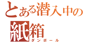 とある潜入中の紙箱（ダンボール）