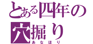 とある四年の穴掘り（あなほり）