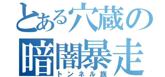 とある穴蔵の暗闇暴走（トンネル族）