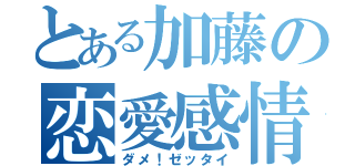 とある加藤の恋愛感情（ダメ！ゼッタイ）