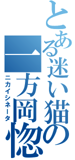 とある迷い猫の一方岡惚（ニカイシネータ）