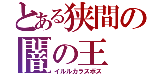 とある狭間の闇の王（イルルカラスボス）