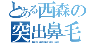 とある西森の突出鼻毛（ｂｕｌｇｅ ｏｕｔｗａｒｄ ｖｉｂｒｉｓｓａｓ）