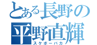 とある長野の平野直輝（スケボーバカ）