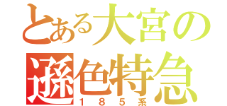 とある大宮の遜色特急（１８５系）