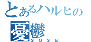 とあるハルヒの憂鬱（ＳＯＳ団）