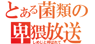 とある菌類の卑猥放送（しめじと呼ばれて）