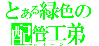 とある緑色の配管工弟（ルイージ）