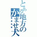 とある地方のかませ犬（厳選茶葉）