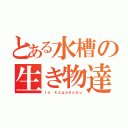 とある水槽の生き物達（ｉｎ ｋａｇａｋｕｂｕ）