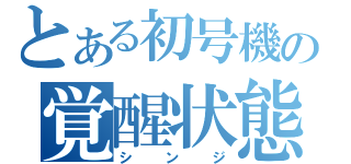 とある初号機の覚醒状態（シンジ）