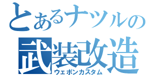 とあるナツルの武装改造（ウェポンカスタム）