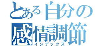 とある自分の感情調節（インデックス）