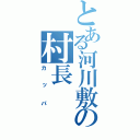 とある河川敷の村長（カッパ）