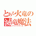 とある火竜の滅竜魔法（ナツドラグニル）