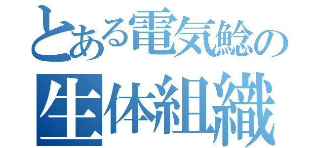 とある電気鯰の生体組織（）