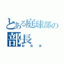 とある庭球部の部長（部長魂）