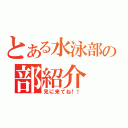 とある水泳部の部紹介（見に来てね！！）