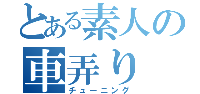 とある素人の車弄り（チューニング）