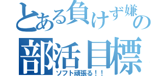 とある負けず嫌いの部活目標（ソフト頑張る！！）