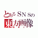 とあるＳＮＳの東方画像爆撃機（蓬莱人）